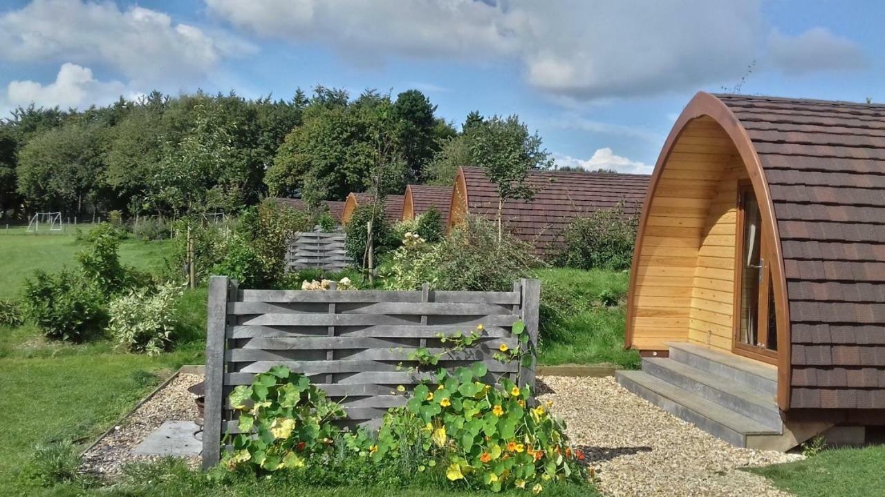 Buttercup Glamping Pod Hotel Cheltenham Ngoại thất bức ảnh